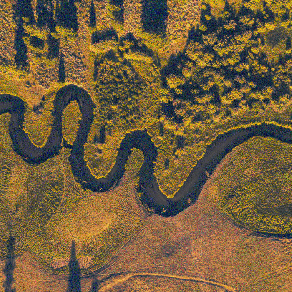 oxbow