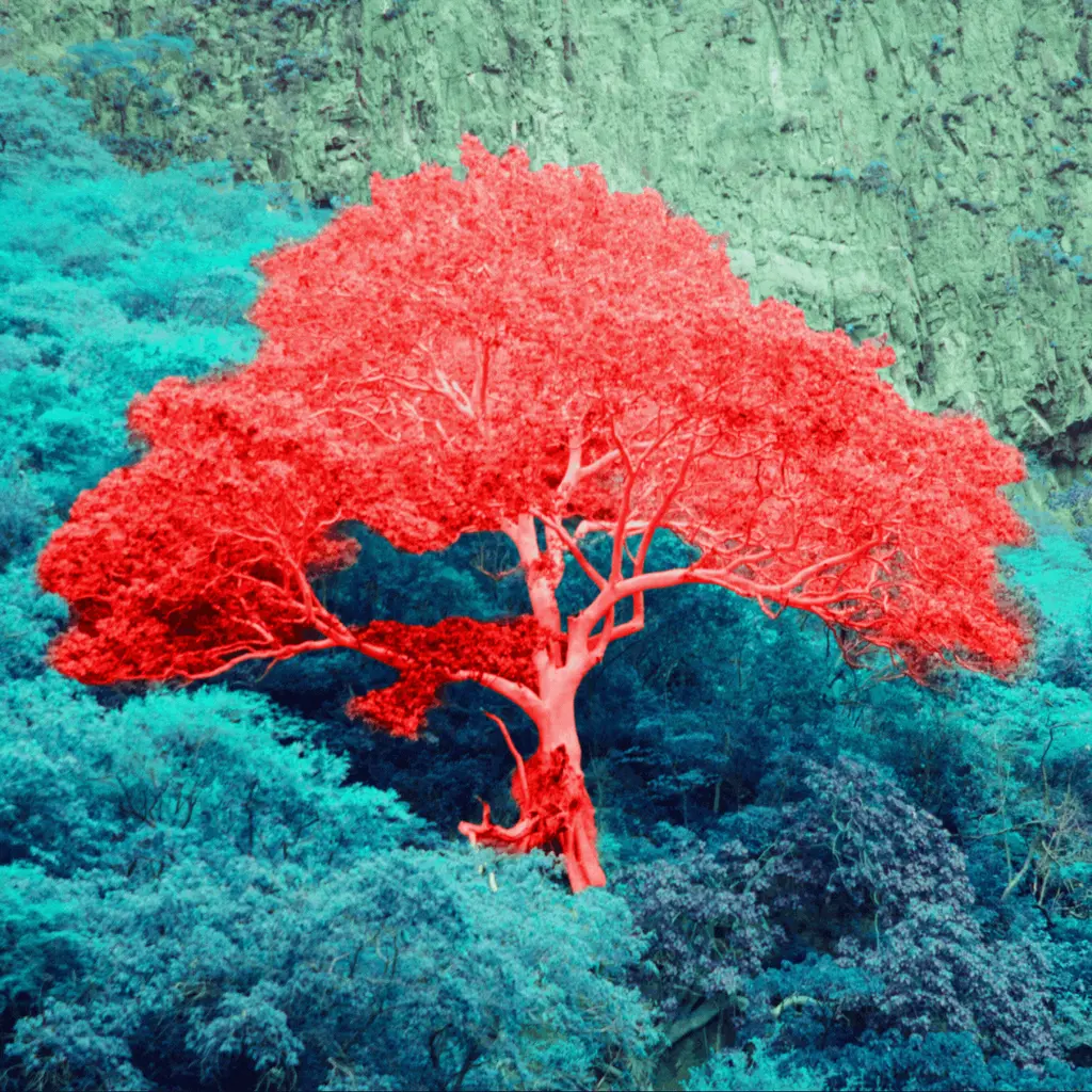 umwelt