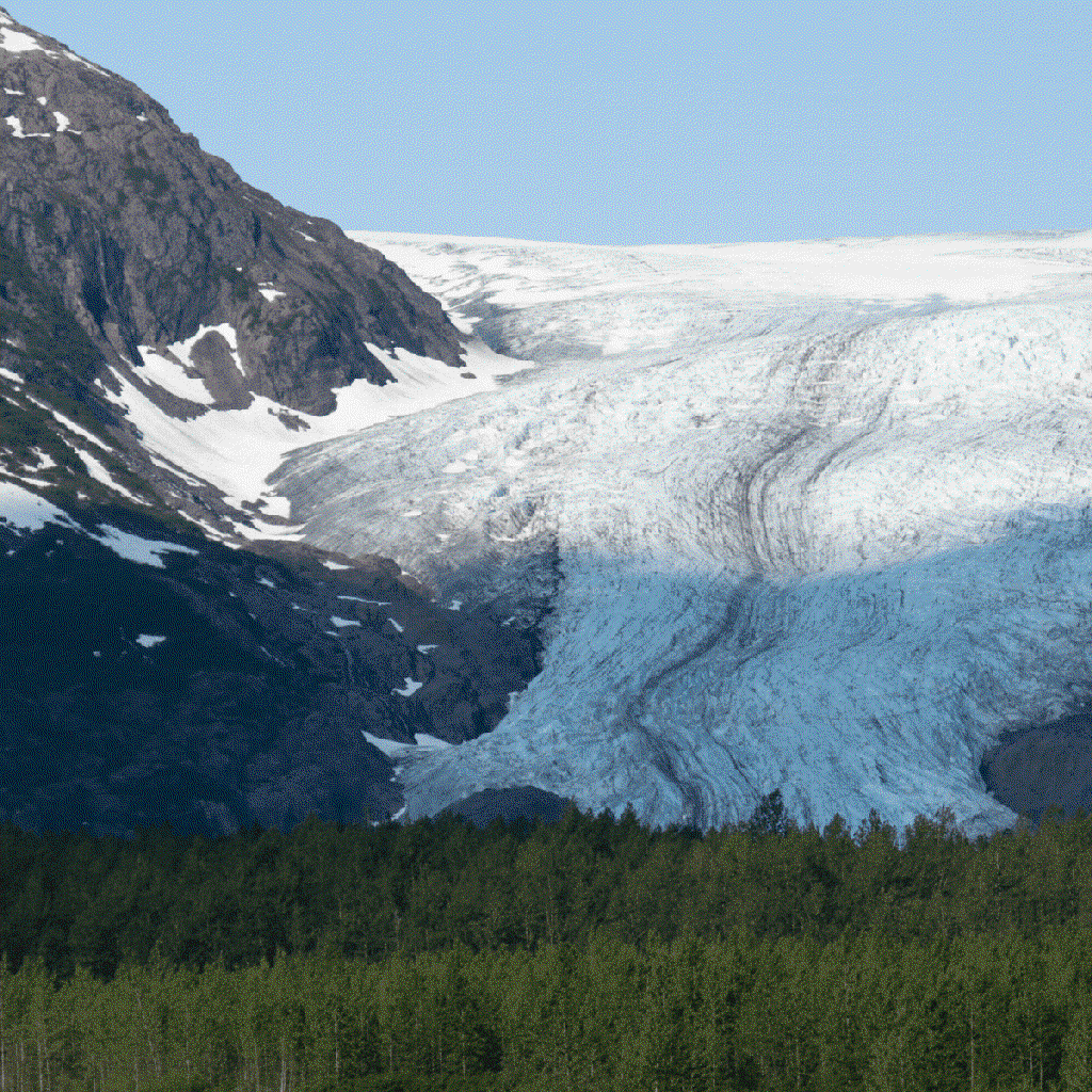 kenai