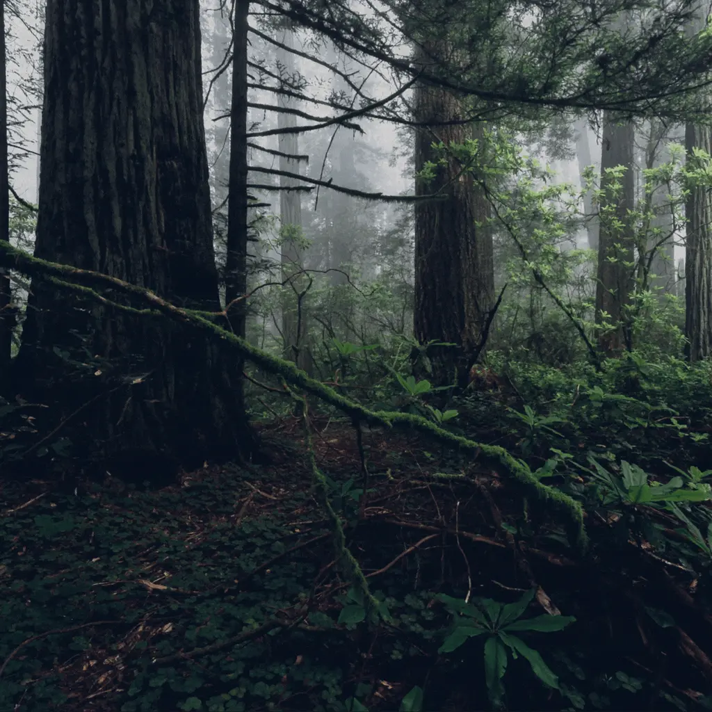 deepforest