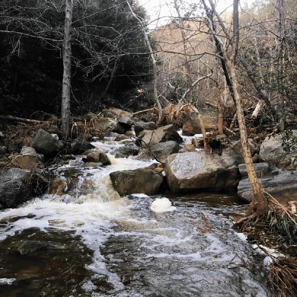 san jose creek
