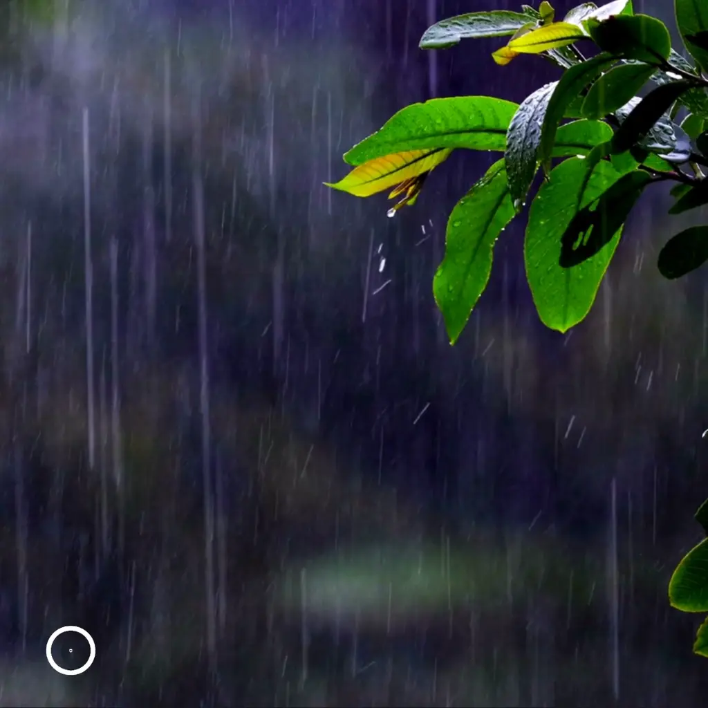 rain