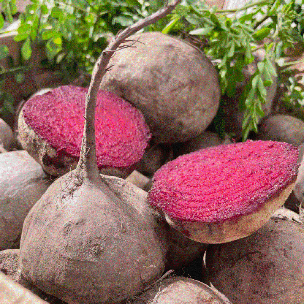 beet