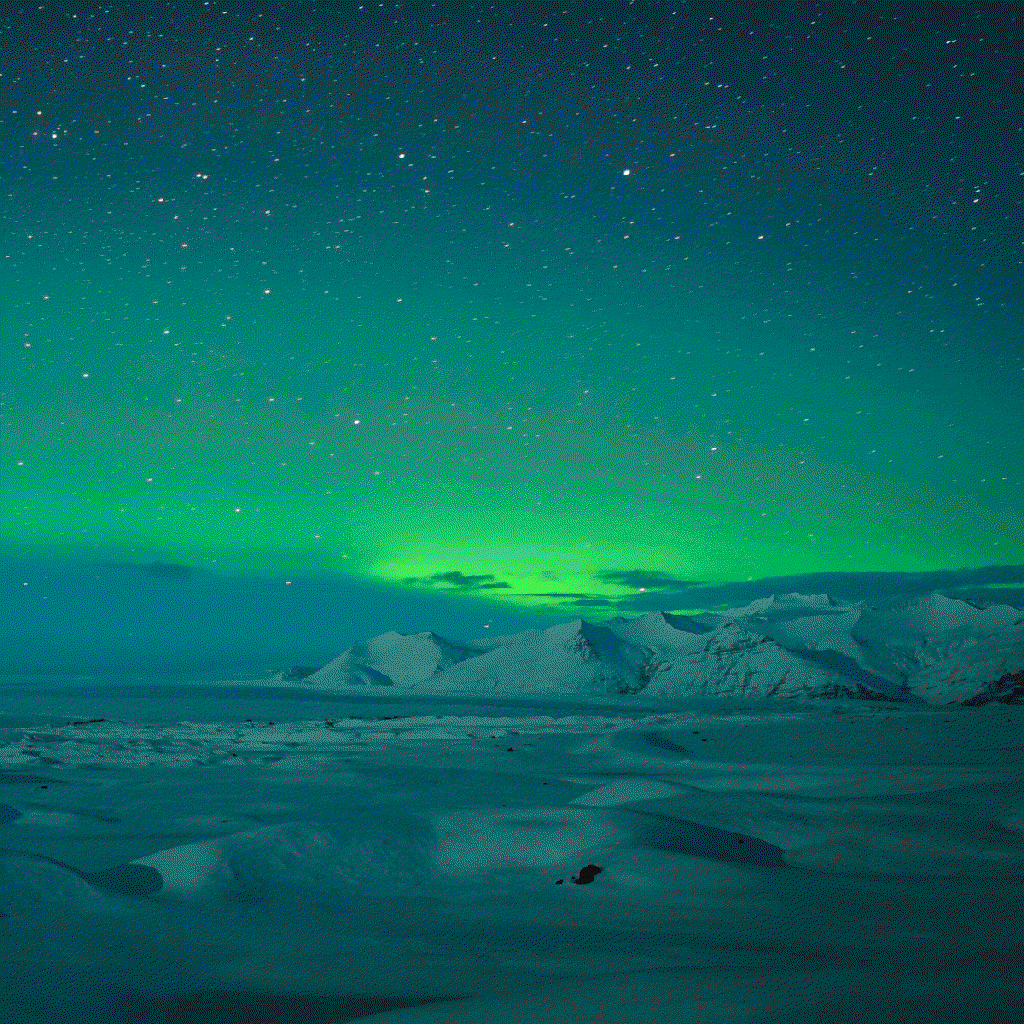 lights
