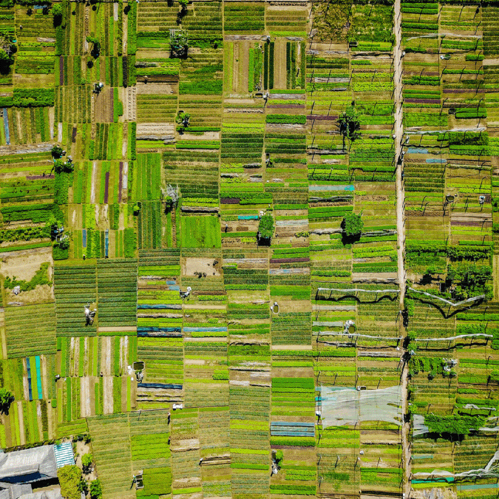 cultivated