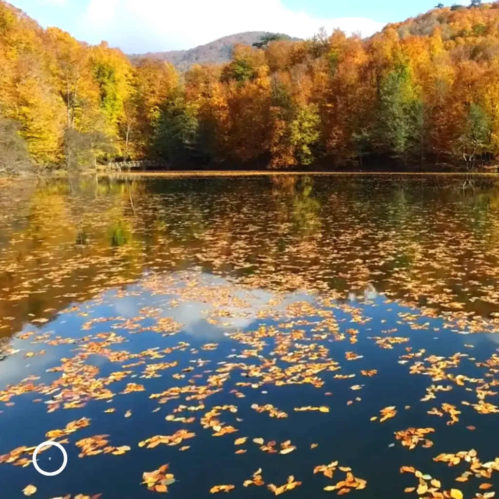 rivers & lakes