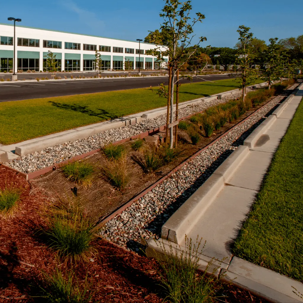 bioswale