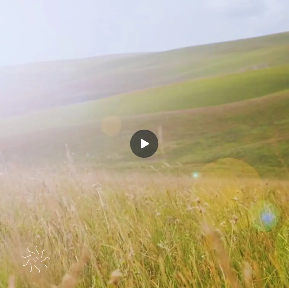 grasslands