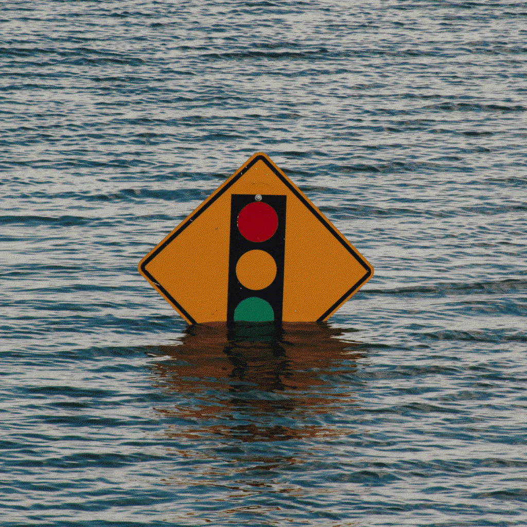 risk resilience