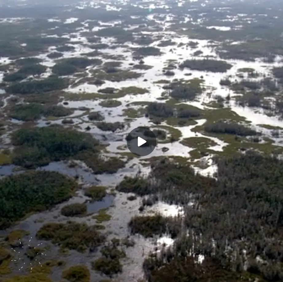 okefenokee
