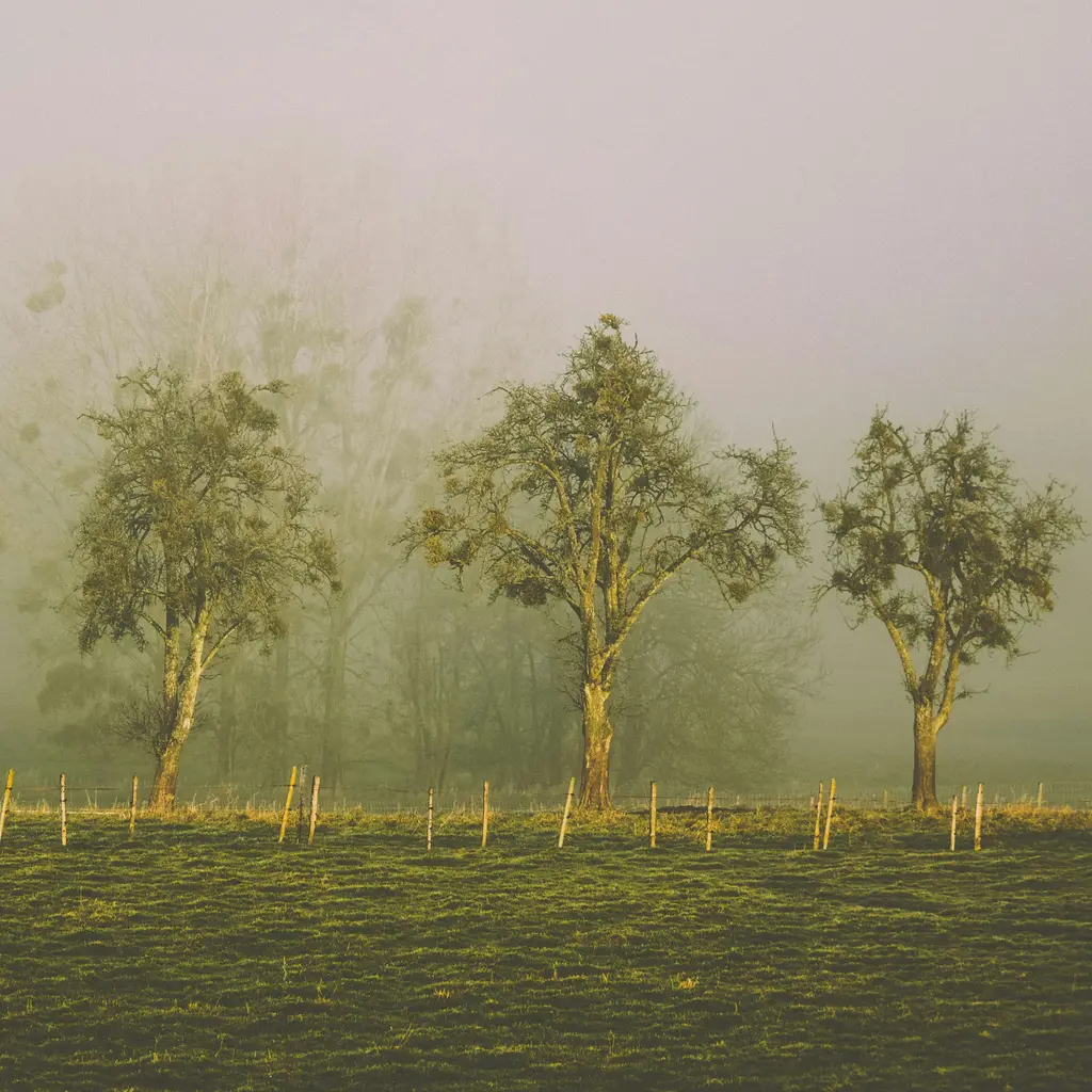 terroir