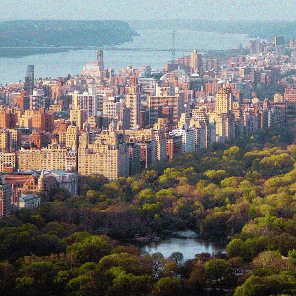 new york